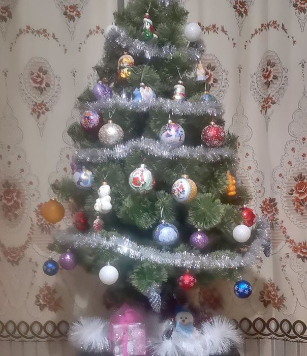 Пишна сосна з засніженими кінчиками