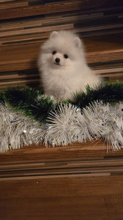 Мальчиш кибальчиш и девчуля  красота