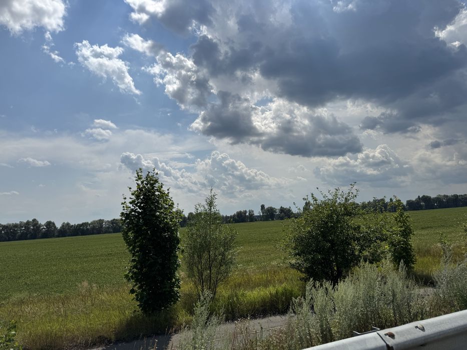 Земельна ділянка.Фасад ! 8га! с.Микуличі