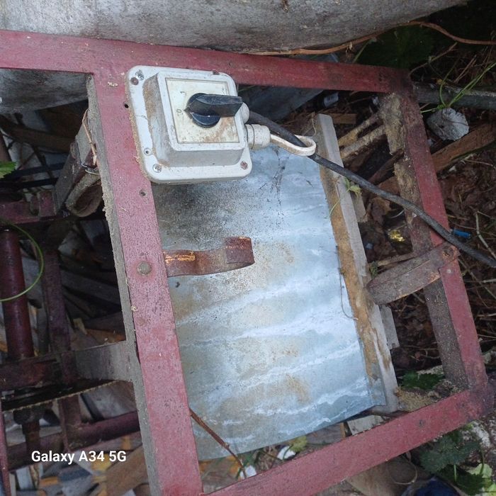 Krajzega fo ciecie drzewa