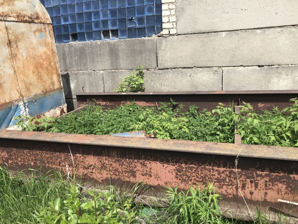 Продам двутавр 55 полка 12 м 6 шт по25 грн за 1 кг