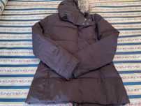 Kispo Tommy Hilfiger castanho