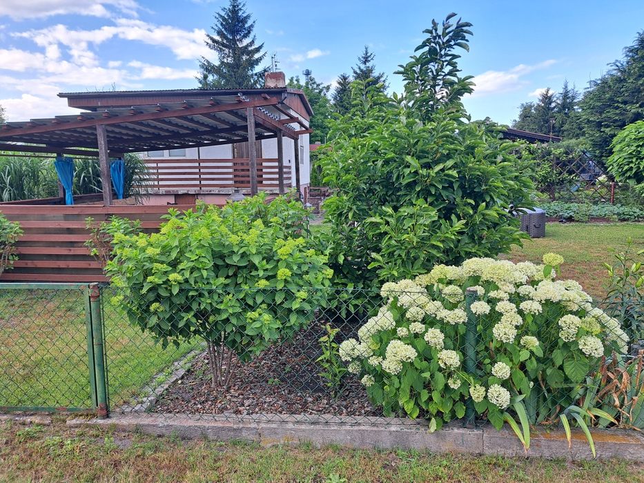 Działka Rod "Cumulus"na Prądach