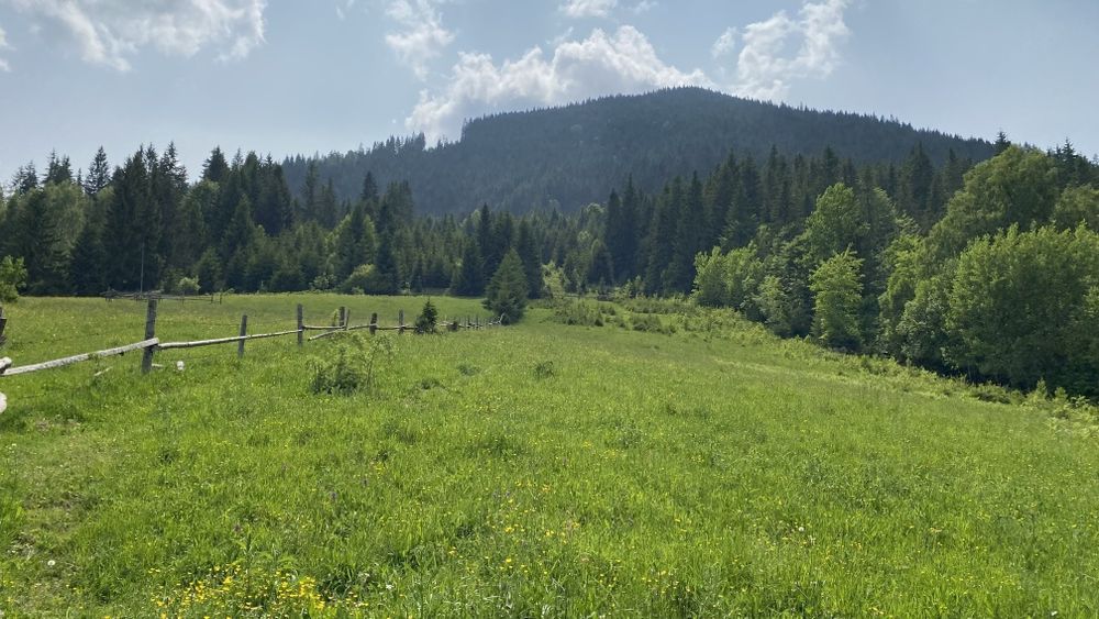 Межує з лісом, під будову і класним видом