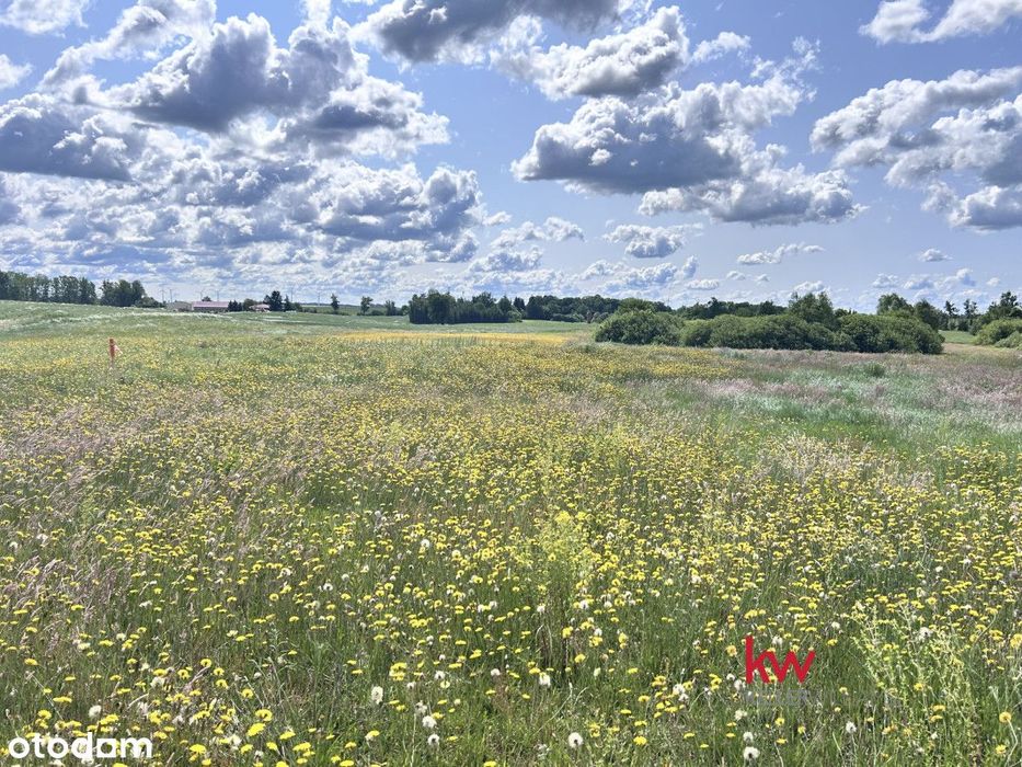 Działka budowlana przy  jeziorze Kucki/Jaromierz