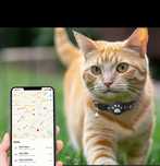 Gps-трекер для поиска животного, совместим только с IOS.