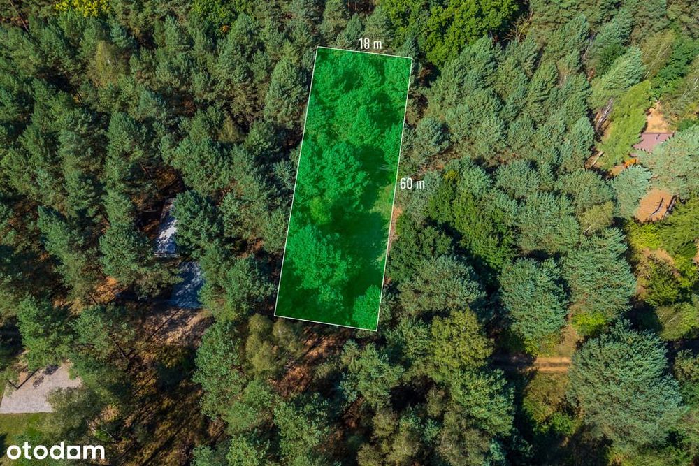 Działka rekreacyjna Sianno graniczy z Kampinosem