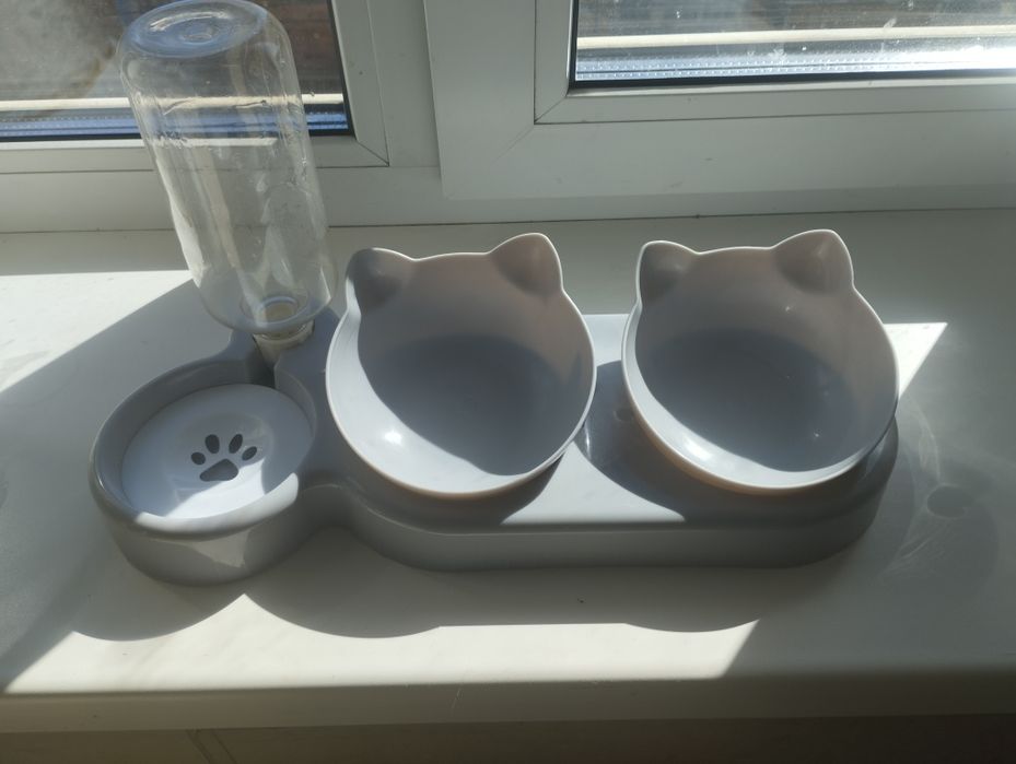 Миска для Котов.