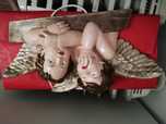 Anjos marfinite