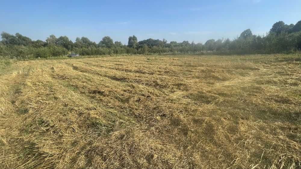 Земельна ділянка 15 сот Ст. Лисець, вул. Шевченка, під забудову (4)