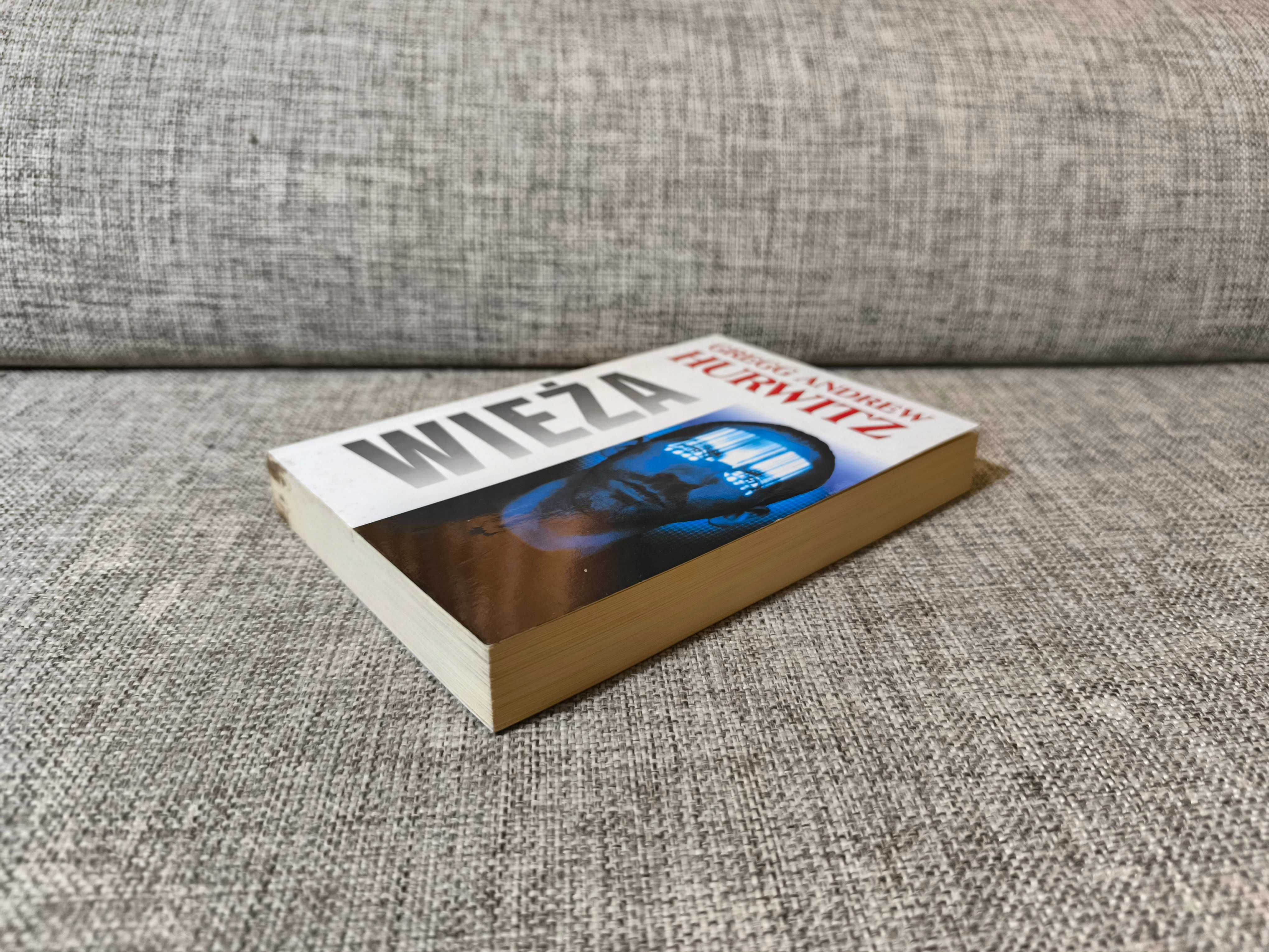 Gregg Andrew Hurwitz - Wieża