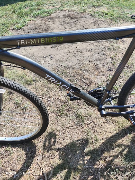 Rower męski Triacle