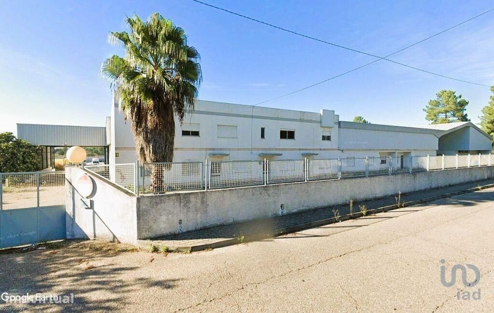 Loja / Estabelecimento Comercial em Muge de 5460,00 m2