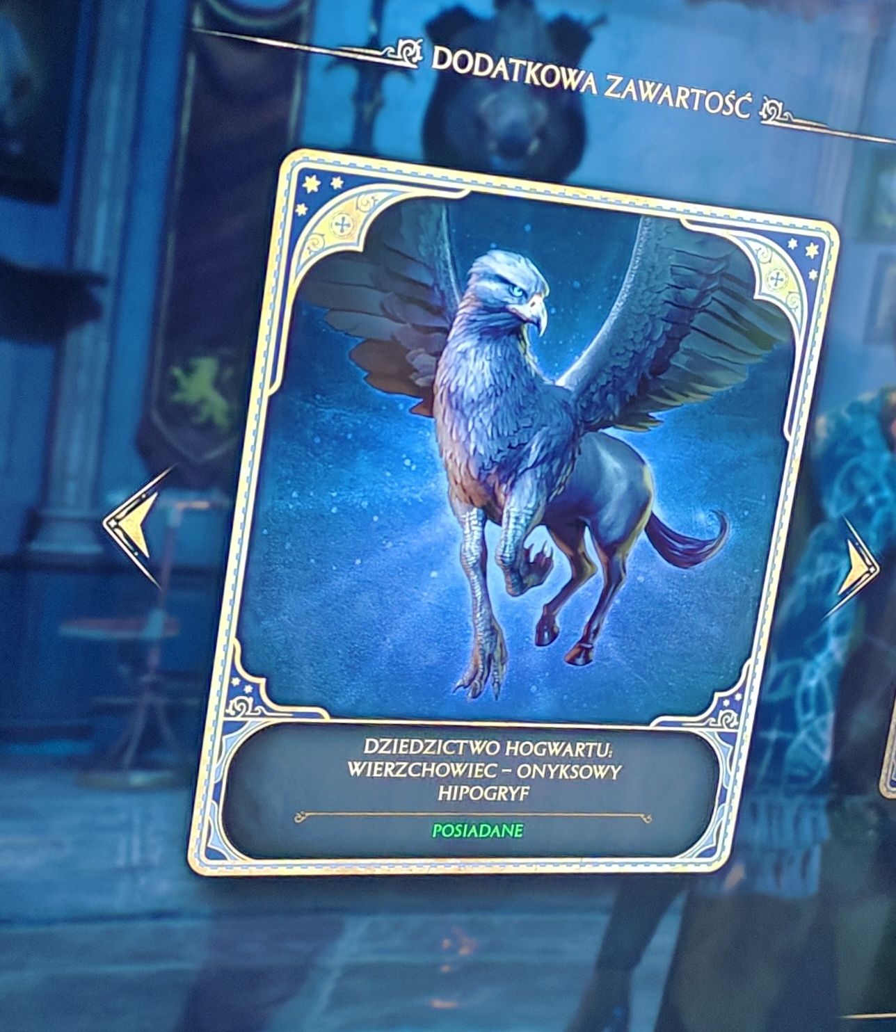 Hogwarts Legacy Dziedzictwo Hogwartu ps5 napisy pl