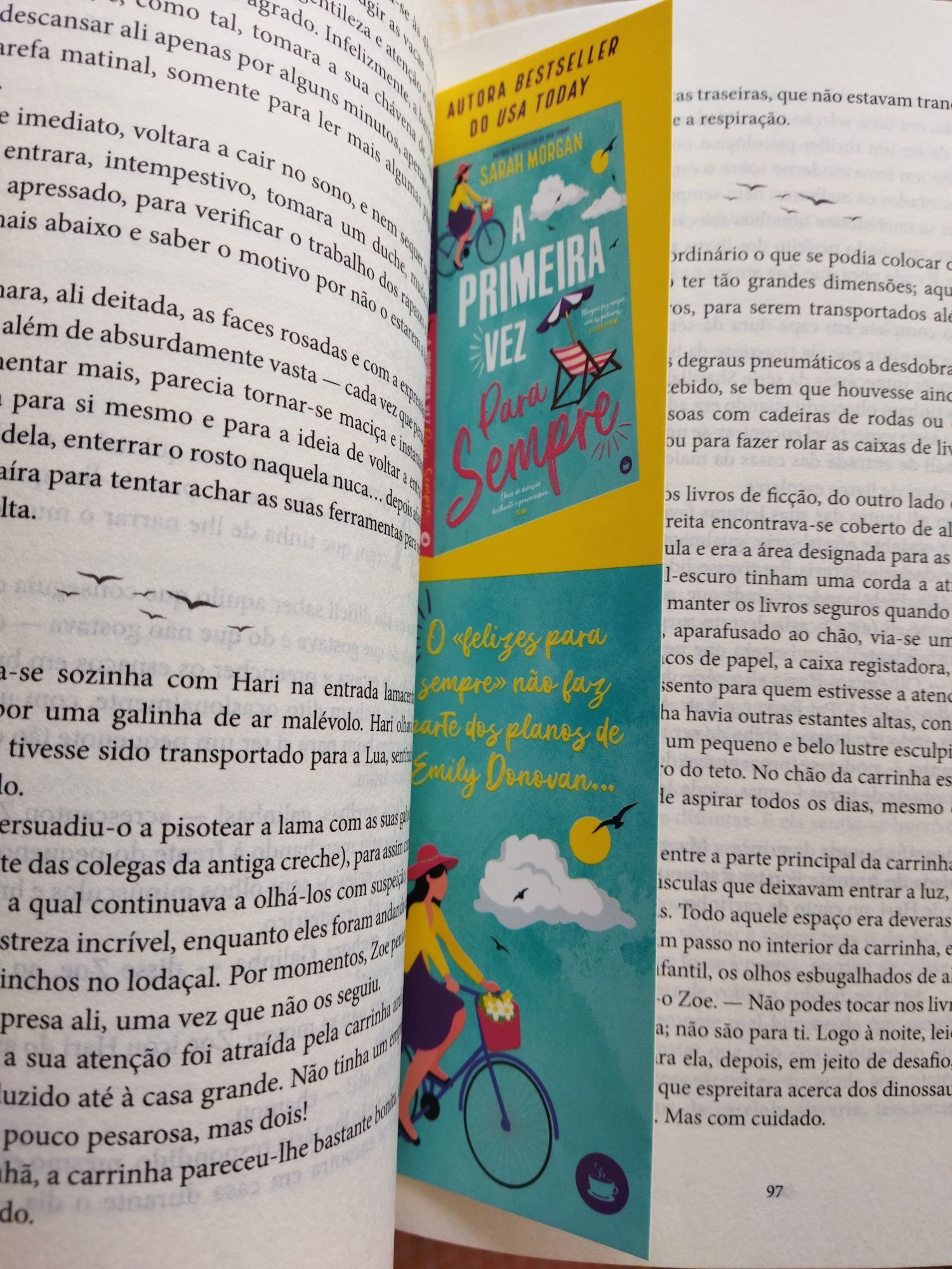 A pequena livraria dos recomeços