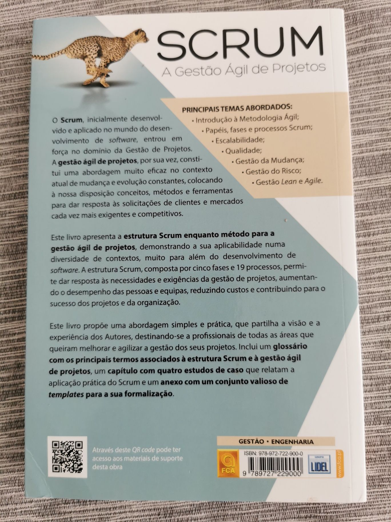 Scrum - A Gestão Ágil de Projetos (João Paulo Pinto/Christiane Tscharf