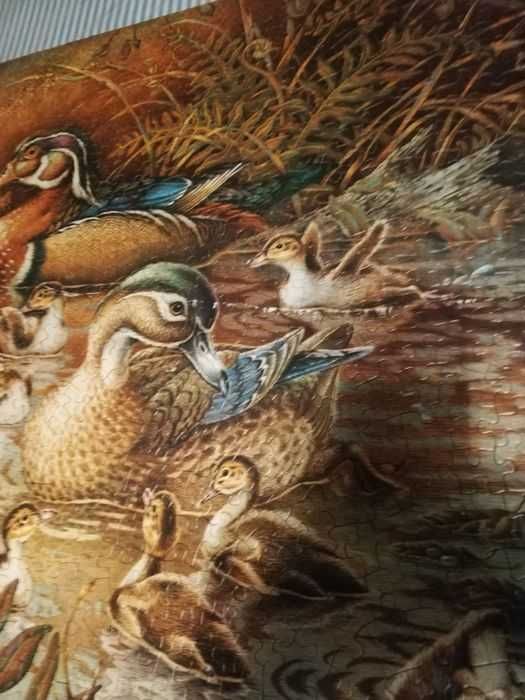 Puzzle de patos com cerca de 40 anos