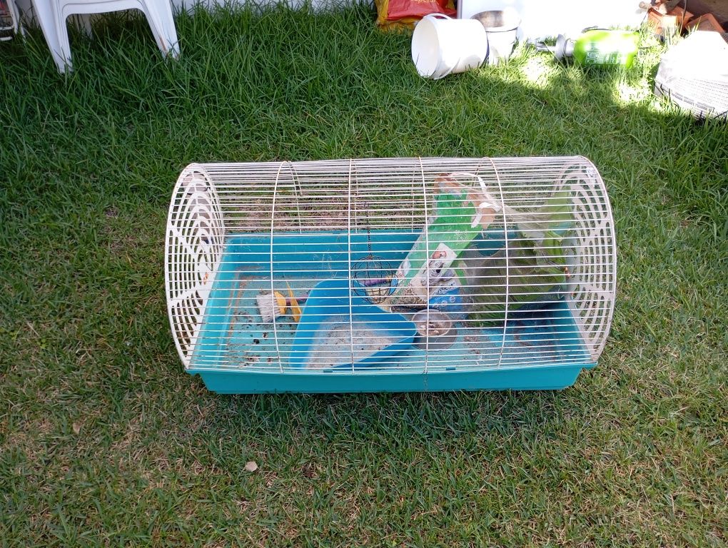 Gaiola para coelho