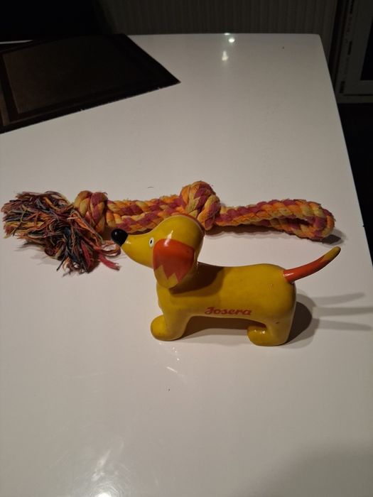 Pies Seppl i sznurek dla psa