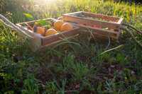 NaturaBasket: The Sustainable Reclaimed Wood Hanging Basket