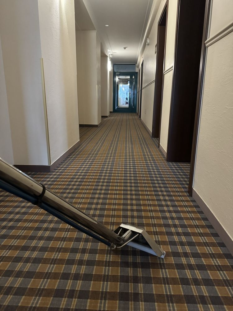 Pranie Czyszczenie Tapicerki Wykładzin Obiektowych. PRALNIA DYWANÓW.