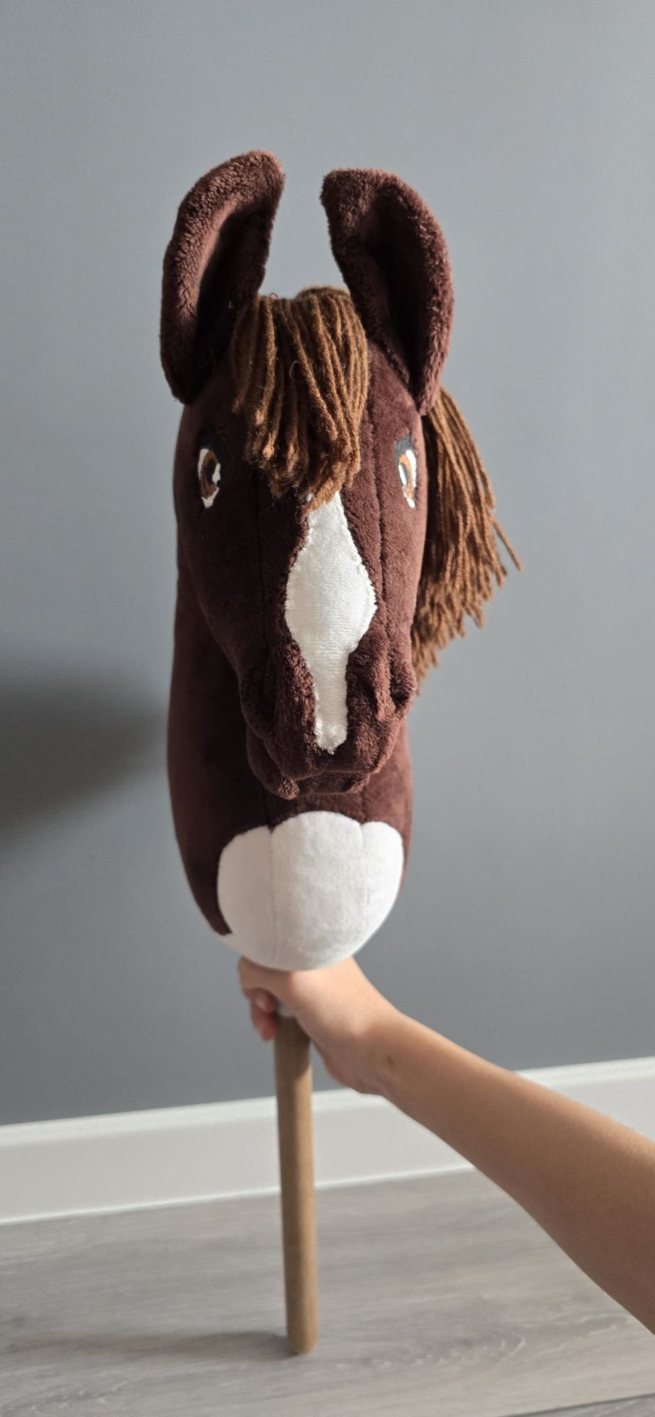 Piękny Hobby horse