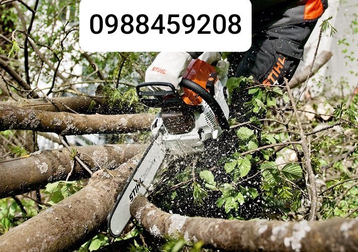 Чистка ділянок — швидко та якісно!