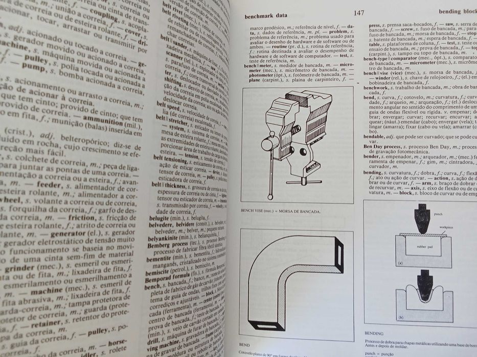 Novo Dicionário de Termos Técnicos Inglês-Português (2 vols.)