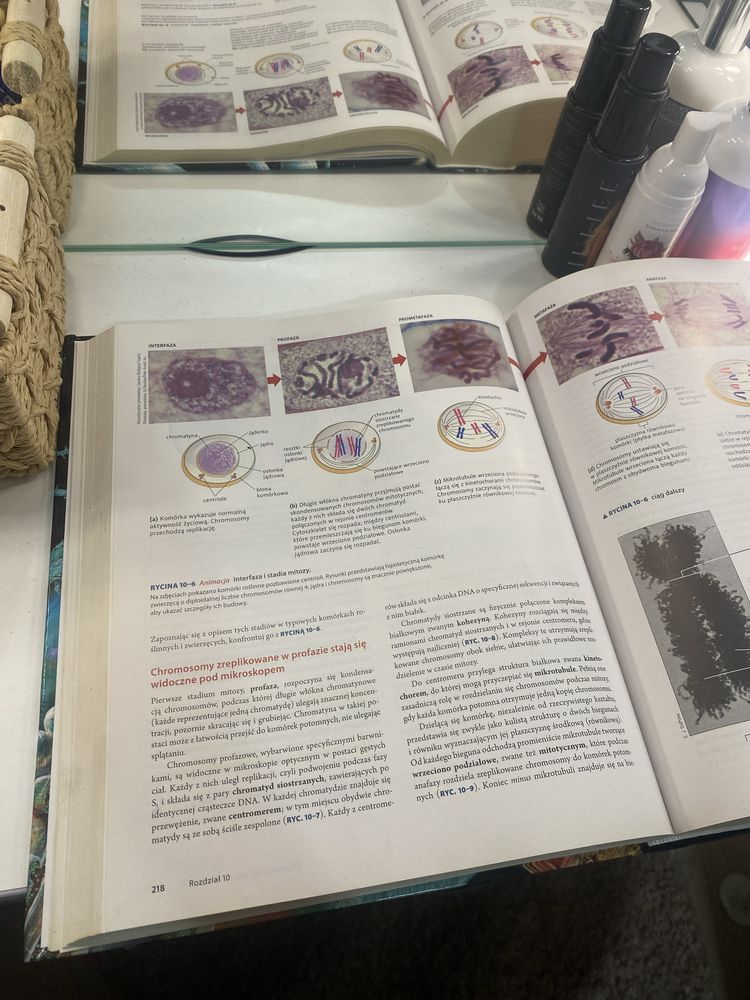 Biologia Ville Salomon