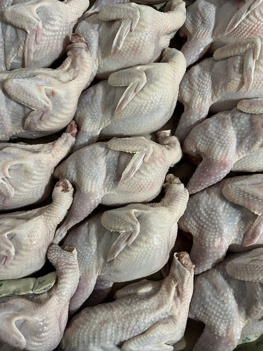 Тушка перепілки на бульйон, тушонку, на суп чи запікання