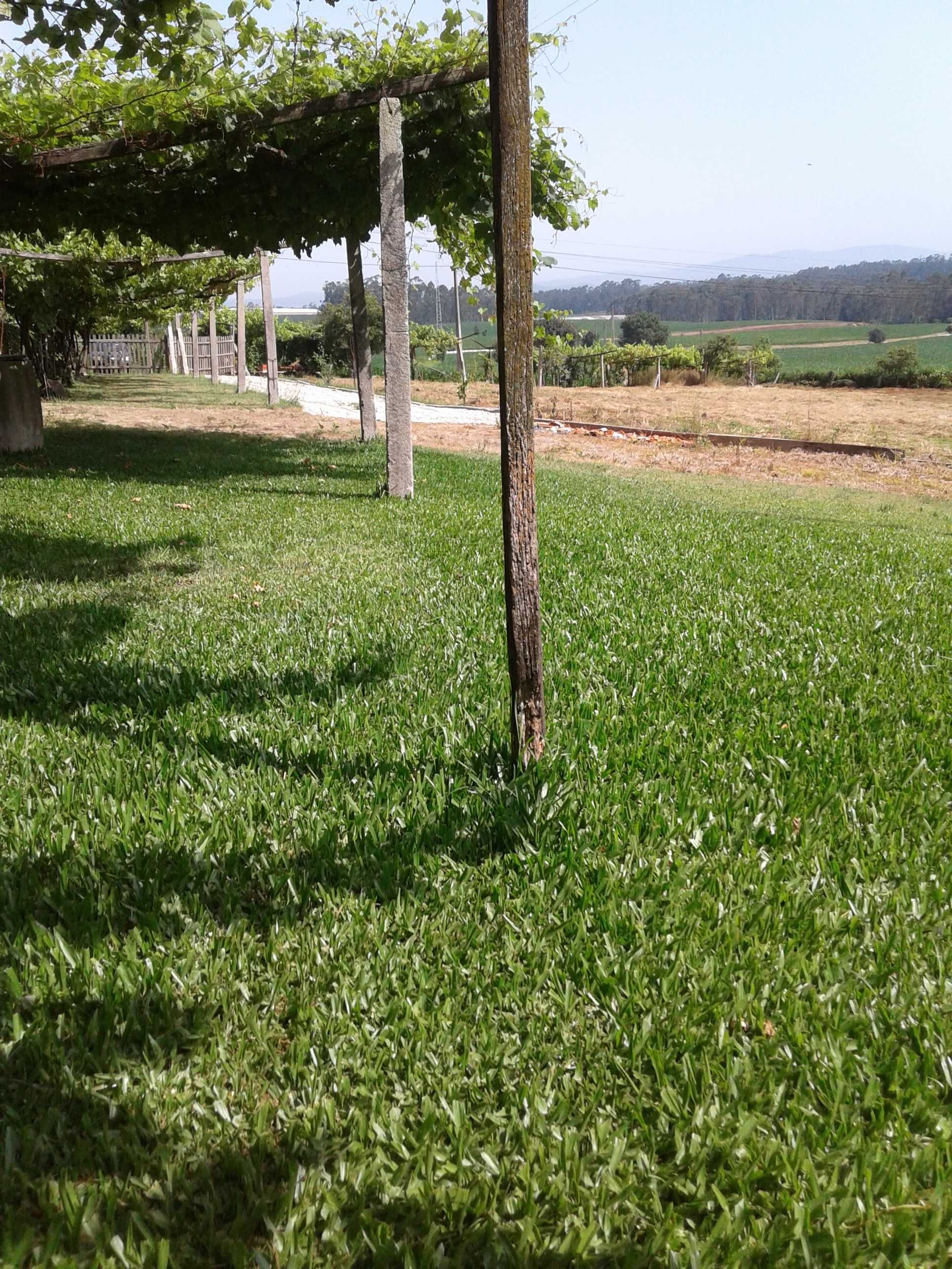 Espaço cultural alternativo
