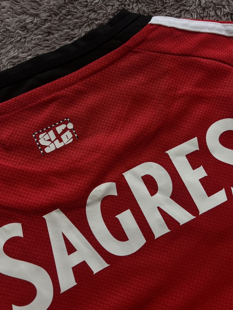 Benfica 25/26 Home Kit