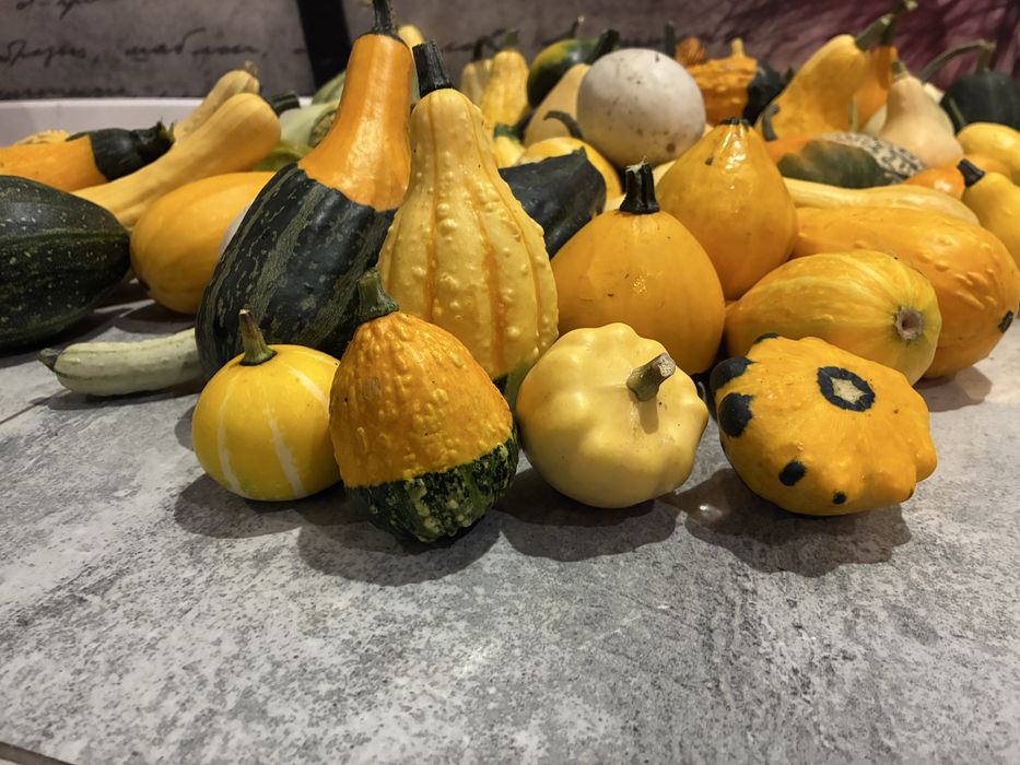 Dynia ozdobna mix 2kg