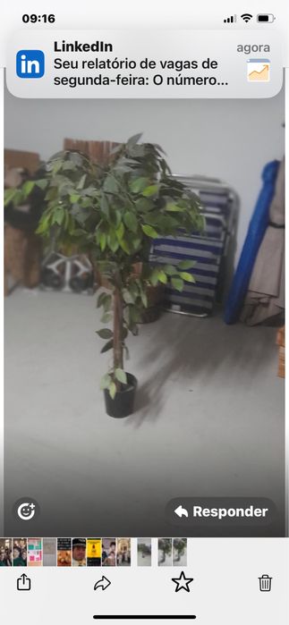 Planta Attificial de decoracão