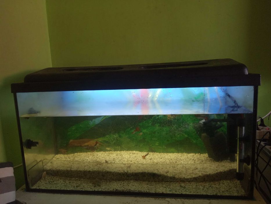 Akwarium 112 litrów.