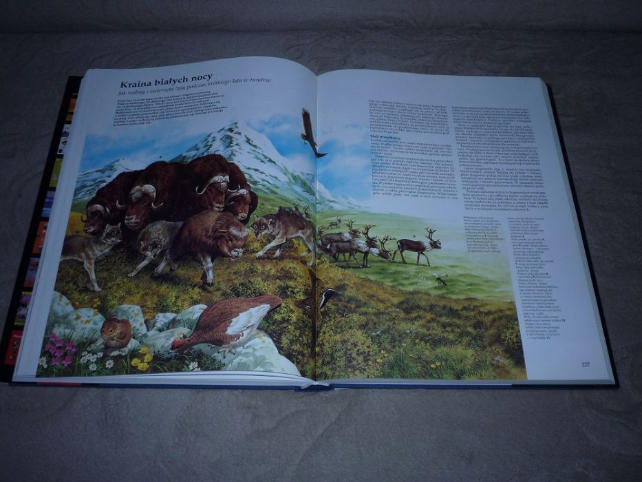 Wielki ilustrowany ATLAS ŚWIATA PASCAL