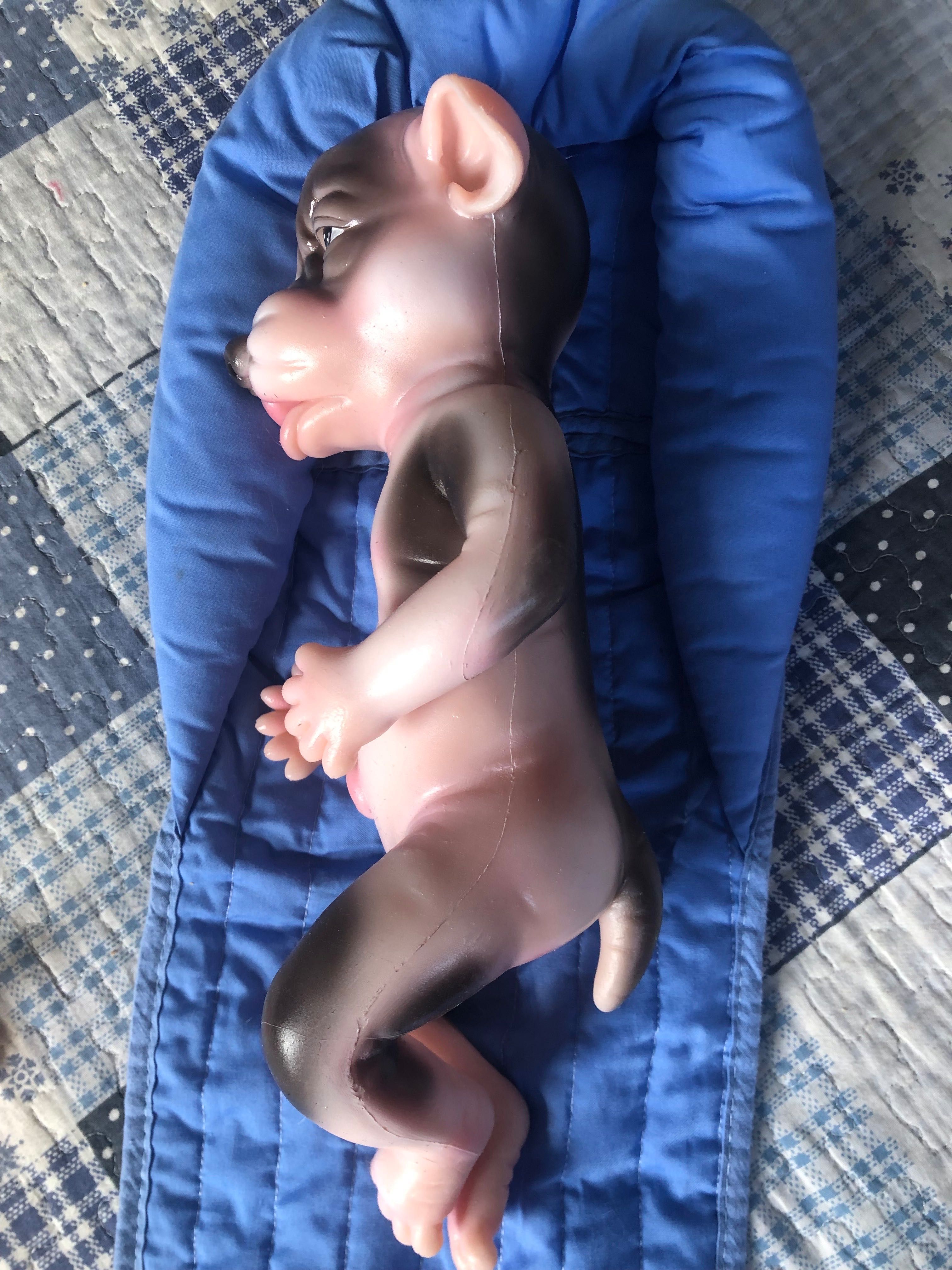 Boneca pet reborn ( verdadeiro silicone) Cosdoll