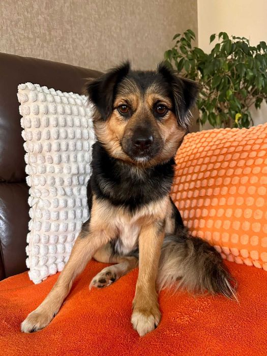 Podaruj jej dom! Mała Arizona!