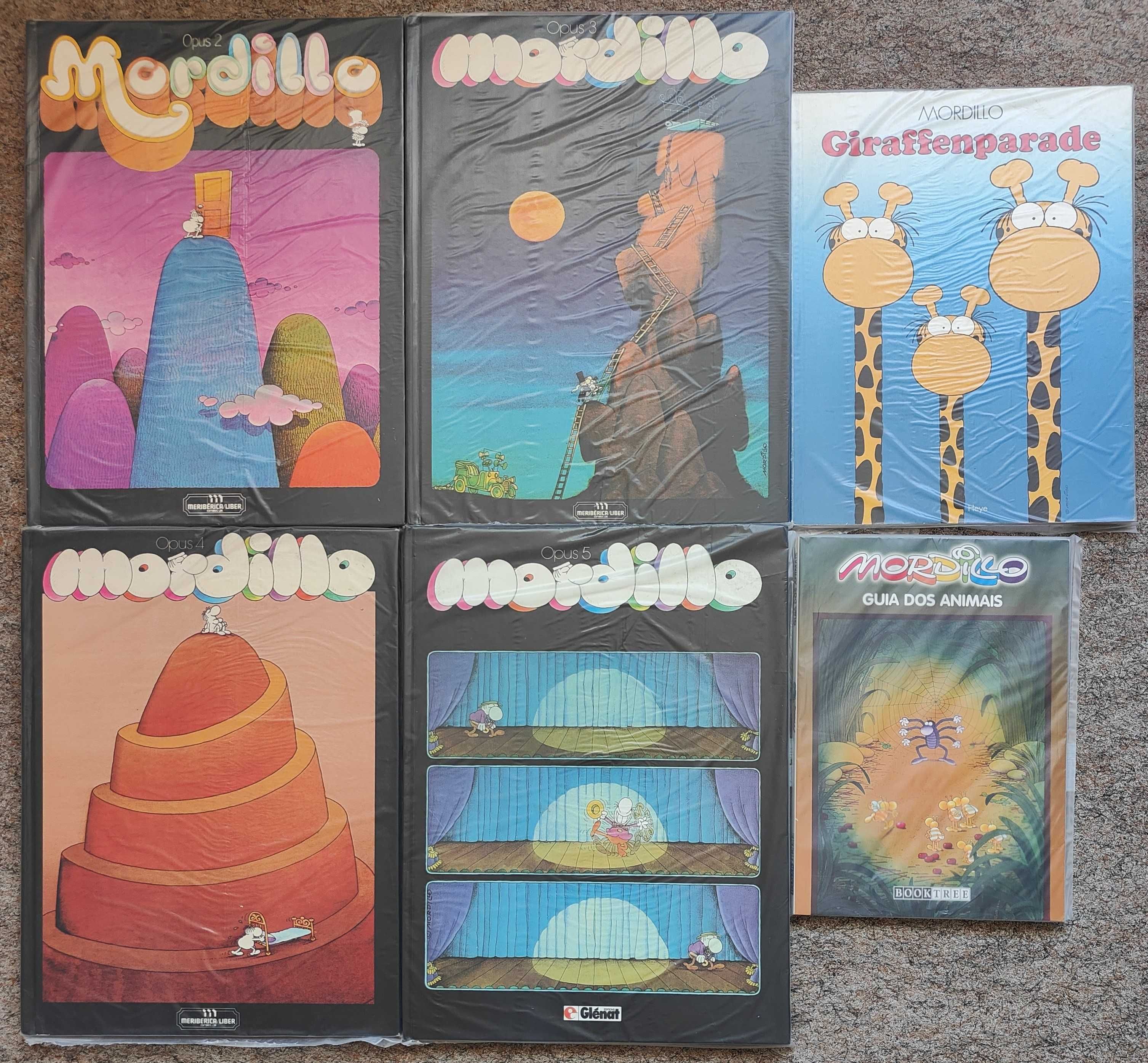 MORDILLO - Lote 14