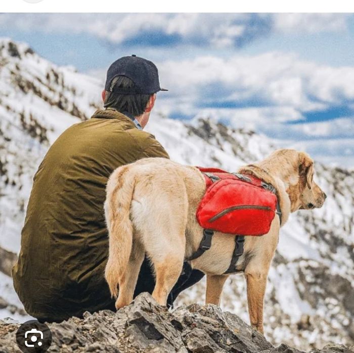 2 Mochilas para cães com mais de 20kg