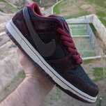 Nike SB Dunk Riot 41