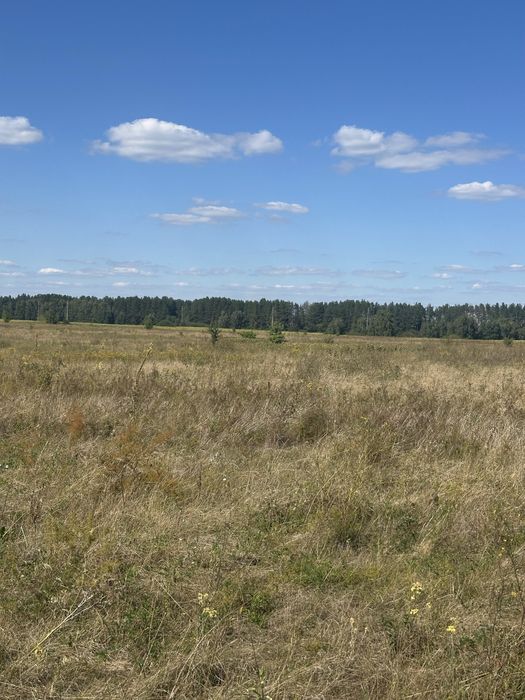 Пропонуємо до продажу земельну ділянкув с. Свидівок