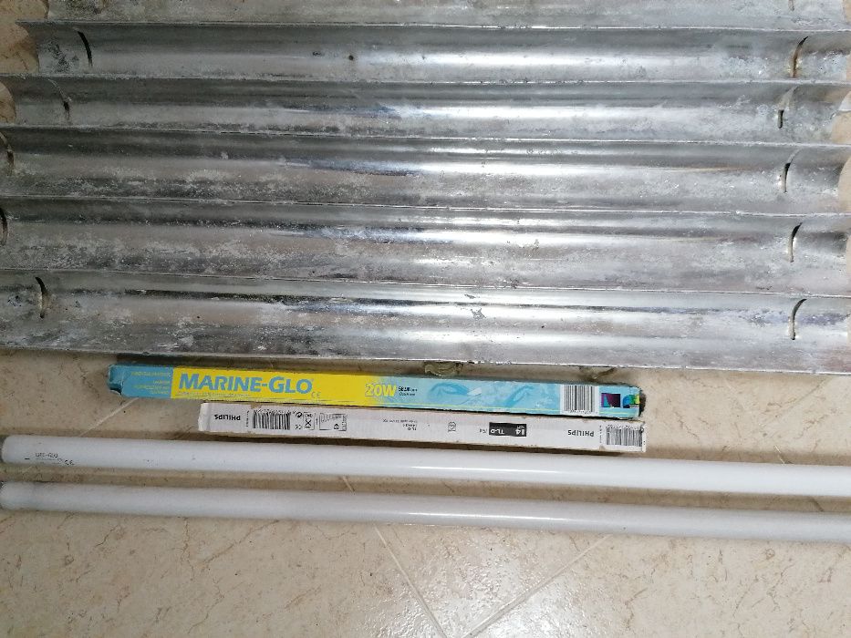 1 lâmpada Glo para aquário água salgada