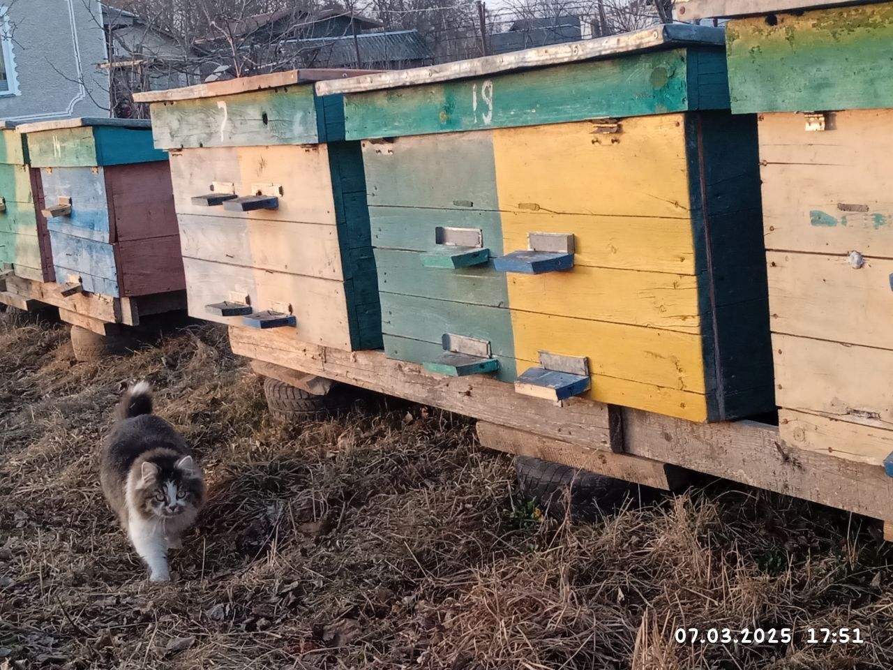 Продам вулики у доброму стані