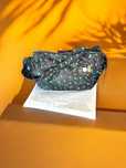 Bimba Y Lola Rainbow Flowers Hobo Bag