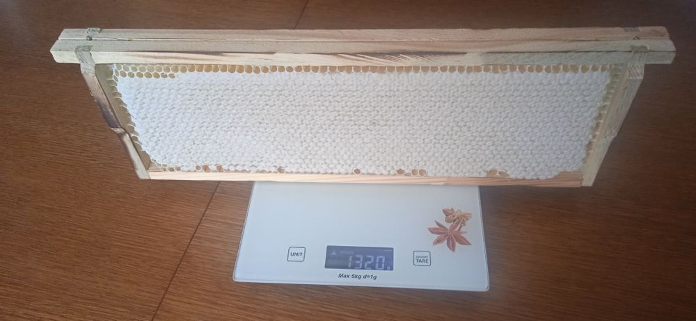 Miód z terenów leśnych. Miód sekcyjny.Propolis