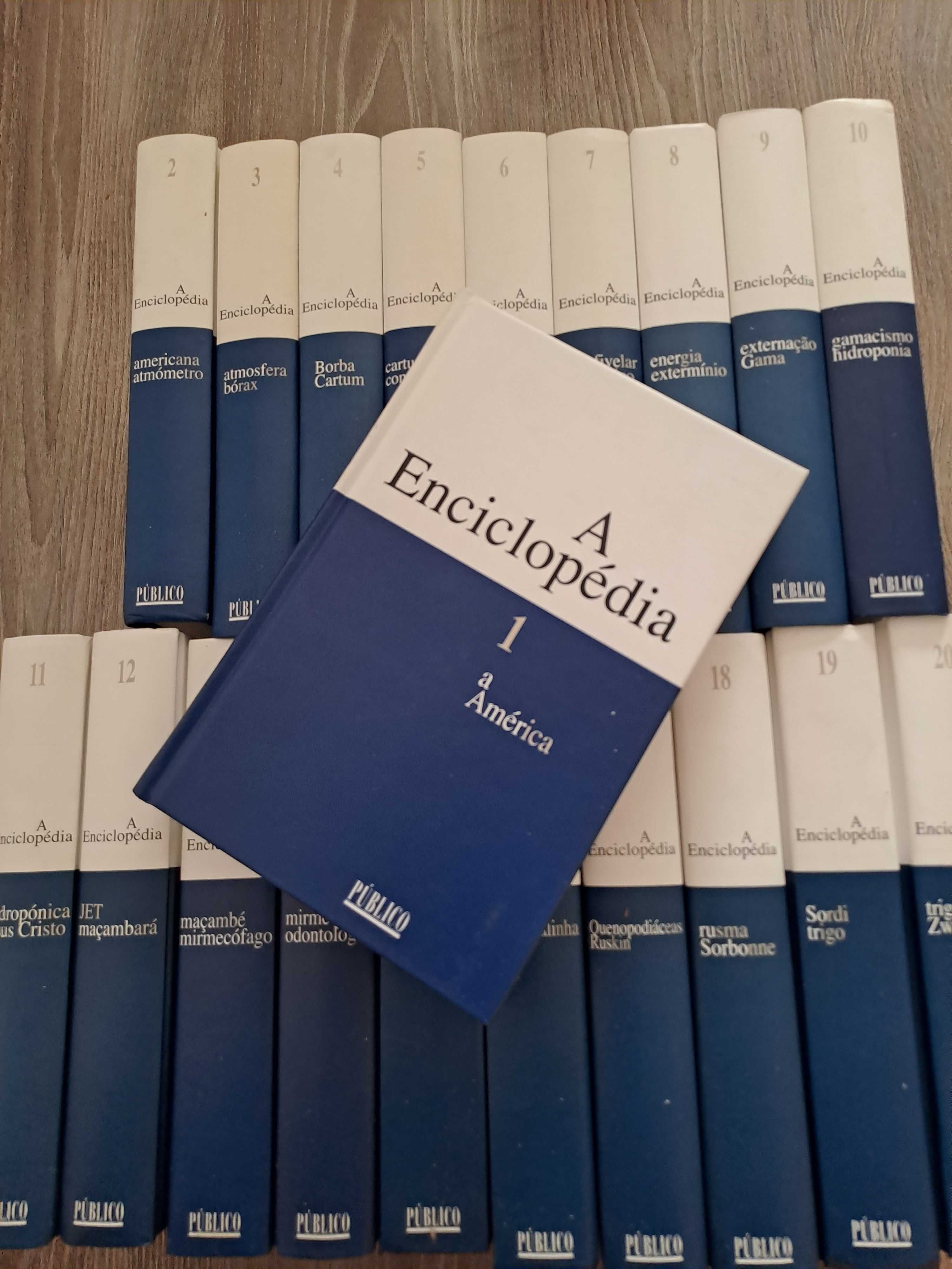 A Enciclopédia - 20 volumes