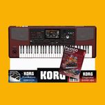 KORG PA1000 pakiet styli Musikant WYMIANY ODBIORY 7 DNI