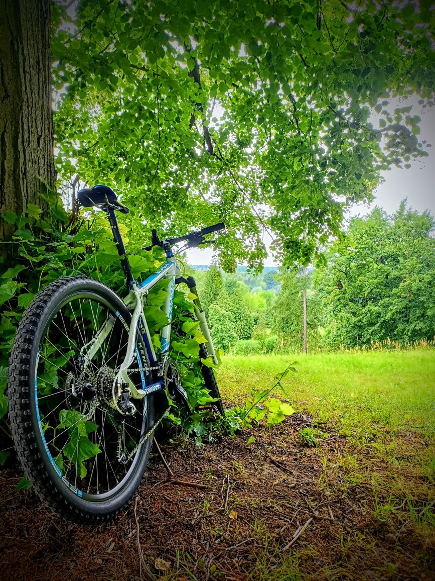 Diamant APEX T4 MTB 26"