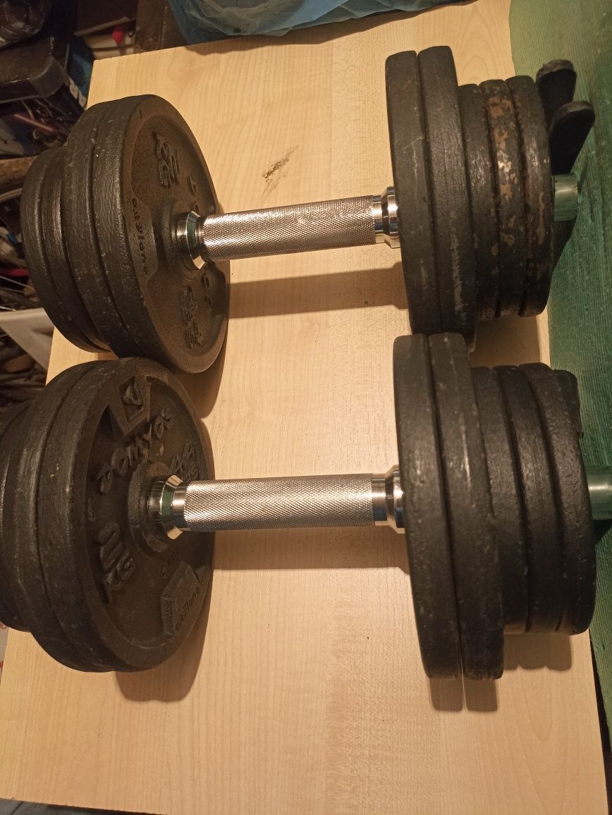 Hantle 2×12 kg Domyos